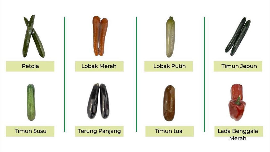 Pembungkusan Kecut Haba